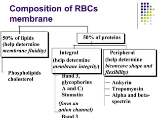 Composition of RBCs
membrane
50% of lipids
(help determine
membrane fluidity)
Phospholipids
cholesterol
50% of proteins
Integral Peripheral
(help determine
membrane integrity)
Band 3,
glycophorins
A and C)
Stomatin
(help determine
biconcave shape and
flexibility)
Ankyrin
Tropomyosin
Alpha and beta-
spectrin(form an
anion channel)
 