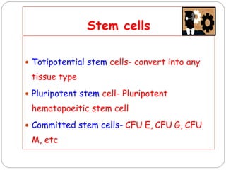 Erythropoiesis