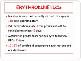 Erythropoiesis