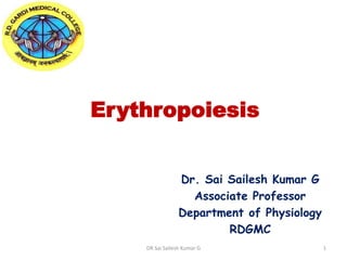 Erythropoiesis
Dr. Sai Sailesh Kumar G
Associate Professor
Department of Physiology
RDGMC
DR Sai Sailesh Kumar G 1
 