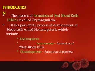 Formation Of Rbc Comprehensive Overview of Erythropoiesis: Stages, Cells, and Regulation ...