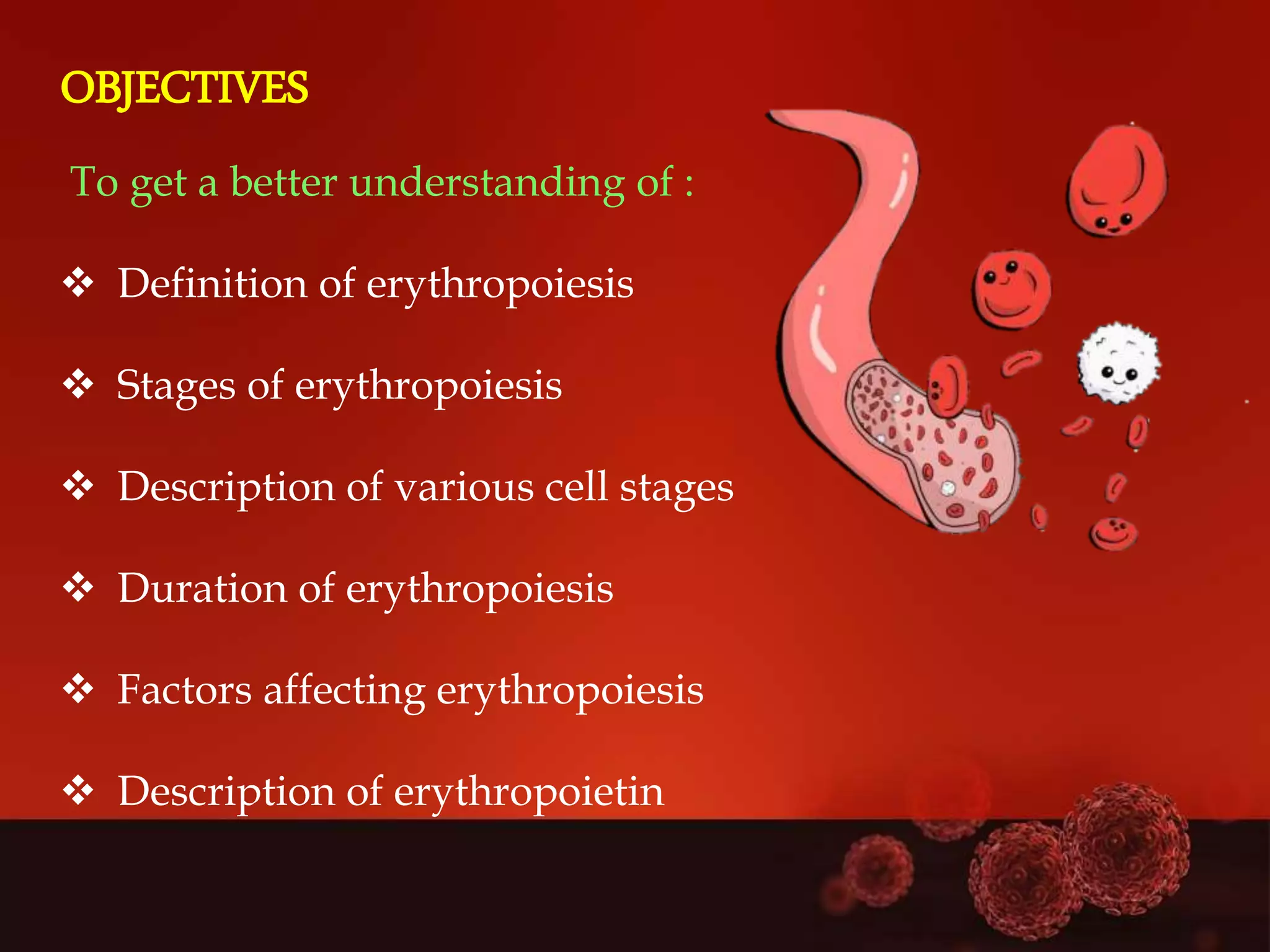 Erythropoiesis | PPTX