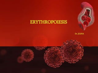 ERYTHROPOIESIS
Dr. JILSHA
 