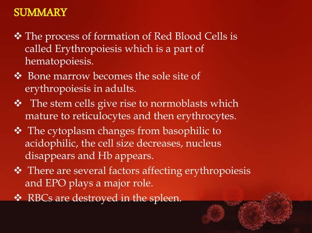 Erythropoiesis | PPTX | Blood Disorders | Diseases and Conditions