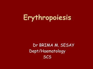 Erythropoiesis
Dr BRIMA M. SESAY
Dept/Haematology
SCS
 
