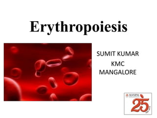 Erythropoiesis
SUMIT KUMAR
KMC
MANGALORE
 