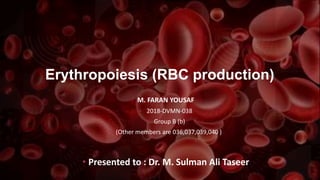 Erythropoiesis (RBC production)
M. FARAN YOUSAF
• 2018-DVMN-038
• Group B (b)
• (Other members are 036,037,039,040 )
•
• Presented to : Dr. M. Sulman Ali Taseer
 