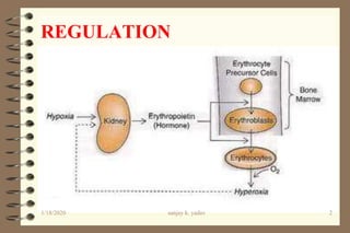 REGULATION
1/18/2020 2sanjay k. yadav
 