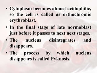 erythropoisis. red blood cells blood and blood products | PPTX