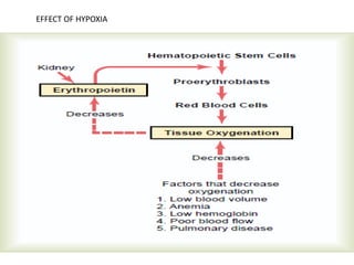 EFFECT OF HYPOXIA
 