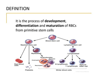 It is the process of development,
differentiation and maturation of RBCs
from primitive stem cells
DEFINITION
 