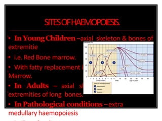 SITESOFHAEMOPOIESIS.

s



• InYoungChildren–axial skeleton & bones of
extremitie
• i.e. Red Bone marrow.
• With fatty replacement it becomes Yellow Bone
Marrow.
• In Adults – axial skeleton & proximal
extremities of long bones.
• InPathological conditions –extra
medullary haemopoiesis
 