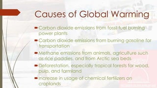 Causes of Global Warming 
Carbon dioxide emissions from fossil fuel burning 
power plants 
Carbon dioxide emissions from burning gasoline for 
transportation 
Methane emissions from animals, agriculture such 
as rice paddies, and from Arctic sea beds 
Deforestation, especially tropical forests for wood, 
pulp, and farmland 
Increase in usage of chemical fertilizers on 
croplands 
 