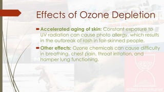 Effects of Ozone Depletion 
Accelerated aging of skin: Constant exposure to 
UV radiation can cause photo allergy, which results 
in the outbreak of rash in fair-skinned people. 
Other effects: Ozone chemicals can cause difficulty 
in breathing, chest pain, throat irritation, and 
hamper lung functioning. 
 