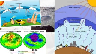 Global environmental issues