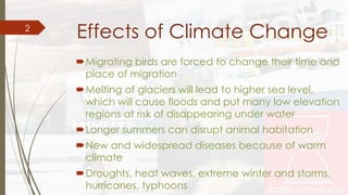 Effects of Climate Change 
Migrating birds are forced to change their time and 
place of migration 
Melting of glaciers will lead to higher sea level, 
which will cause floods and put many low elevation 
regions at risk of disappearing under water 
Longer summers can disrupt animal habitation 
New and widespread diseases because of warm 
climate 
Droughts, heat waves, extreme winter and storms, 
hurricanes, typhoons 
2 
 