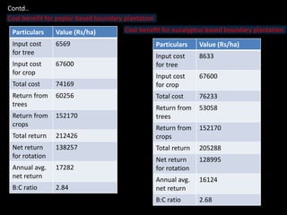 Particulars Value (Rs/ha)
Input cost
for tree
6569
Input cost
for crop
67600
Total cost 74169
Return from
trees
60256
Return from
crops
152170
Total return 212426
Net return
for rotation
138257
Annual avg.
net return
17282
B:C ratio 2.84
Cost benefit for poplar based boundary plantation
Contd..
Particulars Value (Rs/ha)
Input cost
for tree
8633
Input cost
for crop
67600
Total cost 76233
Return from
trees
53058
Return from
crops
152170
Total return 205288
Net return
for rotation
128995
Annual avg.
net return
16124
B:C ratio 2.68
Cost benefit for eucalyptus based boundary plantation
 