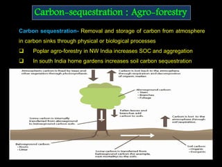 Carbon-sequestration : Agro-forestry
Carbon sequestration- Removal and storage of carbon from atmosphere
in carbon sinks through physical or biological processes
 Poplar agro-forestry in NW India increases SOC and aggregation
 In south India home gardens increases soil carbon sequestration
 