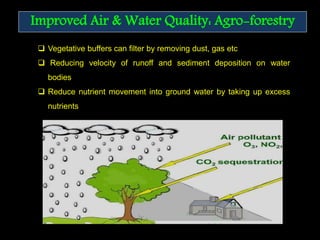 Improved Air & Water Quality: Agro-forestry
 Vegetative buffers can filter by removing dust, gas etc
 Reducing velocity of runoff and sediment deposition on water
bodies
 Reduce nutrient movement into ground water by taking up excess
nutrients
 