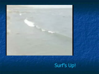 Surf’s Up! 
