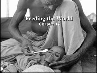 Feeding the World Chapter 14 Feeding the World Chapter 14 