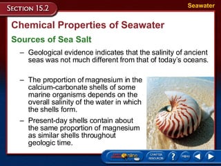 Chemical Properties of Seawater Sources of Sea Salt Seawater Geological evidence indicates that the salinity of ancient seas was not much different from that of today’s oceans.  The proportion of magnesium in the calcium-carbonate shells of some marine organisms depends on the overall salinity of the water in which the shells form.  Present-day shells contain about the same proportion of magnesium as similar shells throughout geologic time. 