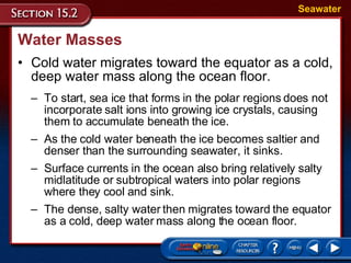 Water Masses Cold water migrates toward the equator as a cold, deep water mass along the ocean floor. Seawater To start, sea ice that forms in the polar regions does not incorporate salt ions into growing ice crystals, causing them to accumulate beneath the ice.  As the cold water beneath the ice becomes saltier and denser than the surrounding seawater, it sinks. Surface currents in the ocean also bring relatively salty midlatitude or subtropical waters into polar regions  where they cool and sink. The dense, salty water then migrates toward the equator as a cold, deep water mass along the ocean floor.  