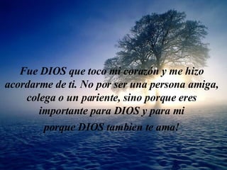 F ue  D IO S que toco m i  cora zón   y  me  hizo acordarme  de ti. No por ser u n a pe r so n a amiga, colega  o un pa r i ente, s ino  porque  eres  importante para D IO S  y  para mi porque DIOS tambien te  am a ! 