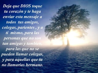 De j a  que  D IO S to que  tu cora zón   y  te  haga  enviar esta mensa je  a todos  tus amigos, colegas, par i entes ,  y  a  tí   m i smo, para  l as pe r so n as que no so n  t an  amigas  y tambien , para  las  que n o  se p ue de n   ll amar colega s ,  y  para aque l las que tu n o   ll amar í as  herman o. 