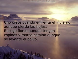 Uno crece cuando enfrenta el invierno
aunque pierda las hojas.
Recoge flores aunque tengan
espinas y marca camino aunque
se levante el polvo.

 