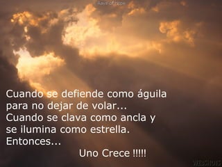 Cuando se defiende como águila
para no dejar de volar...
Cuando se clava como ancla y
se ilumina como estrella.
Entonces...
Uno Crece !!!!!

 