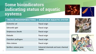 ES-LECTURE-13_Bioindicators-of-Pollution.pdf