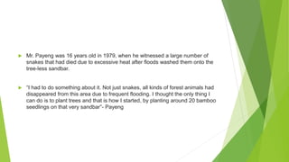  Mr. Payeng was 16 years old in 1979, when he witnessed a large number of
snakes that had died due to excessive heat after floods washed them onto the
tree-less sandbar.
 “I had to do something about it. Not just snakes, all kinds of forest animals had
disappeared from this area due to frequent flooding. I thought the only thing I
can do is to plant trees and that is how I started, by planting around 20 bamboo
seedlings on that very sandbar”- Payeng
 