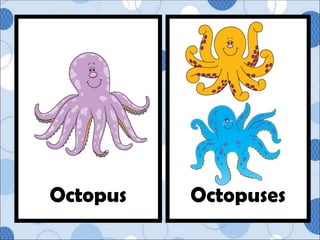 Octopuses
Octopus
 