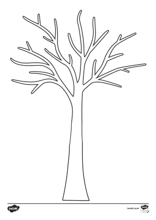 arbol genealogico 