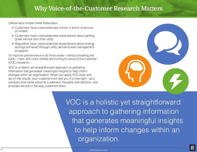 voice of the customer program voice of the customer program