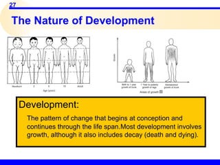 27
The Nature of Development
Development:
The pattern of change that begins at conception and
continues through the life span.Most development involves
growth, although it also includes decay (death and dying).
 