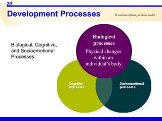 29
Development Processes
Biological, Cognitive,
and Socioemotional
Processes
Biological
processes
Physical changes
within an
individual’s body.
(Continued from previous slide)
 
