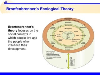 44
Bronfenbrenner’s Ecological Theory
Bronfenbrenner’s
theory focuses on the
social contexts in
which people live and
the people who
influence their
development.
 