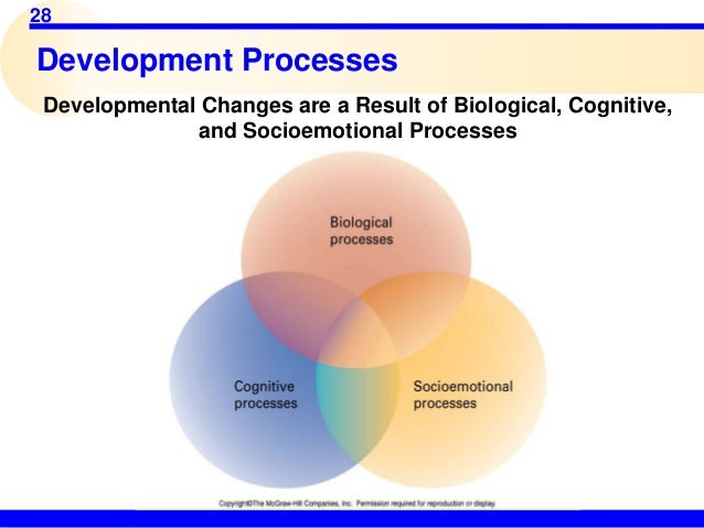 biological cognitive and socioemotional processes