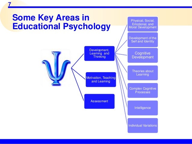 1984 George Orwell Essay Identity Development Throughout The Lifetime An Compare And Contrast Essay Example For Middle School also Animal Rights Essay Physical And Cognitive Development In Adolescence Essay Essay On Your Life