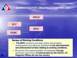 ES10 02 OSHS.pdf