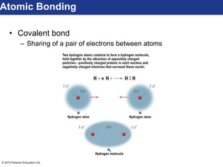 © 2015 Pearson Education Ltd.
• Covalent bond
– Sharing of a pair of electrons between atoms
Atomic Bonding
 