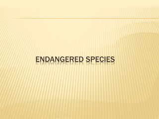 ENDANGERED SPECIES
 