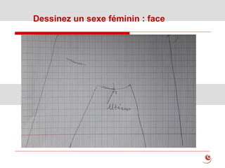 Dessinez un sexe féminin : face
 