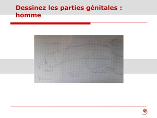 Dessinez les parties génitales :
homme
 