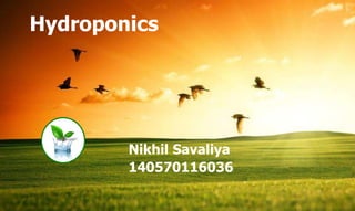 Copyright of ISH, India
Hydroponics
Nikhil Savaliya
140570116036
 