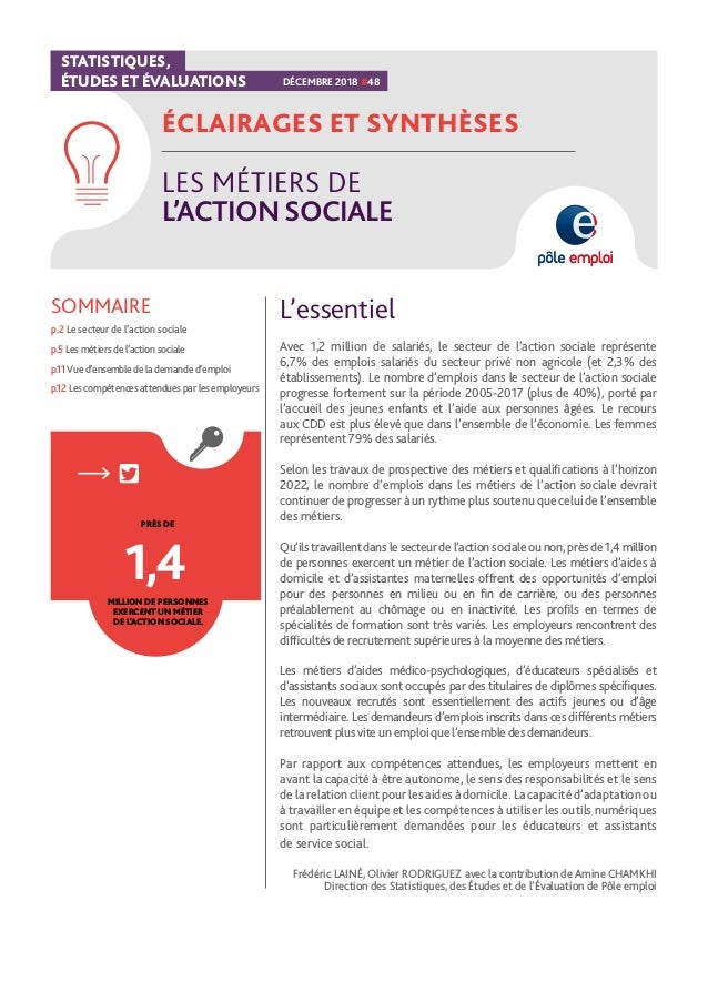 Les Metiers De L Action Sociale