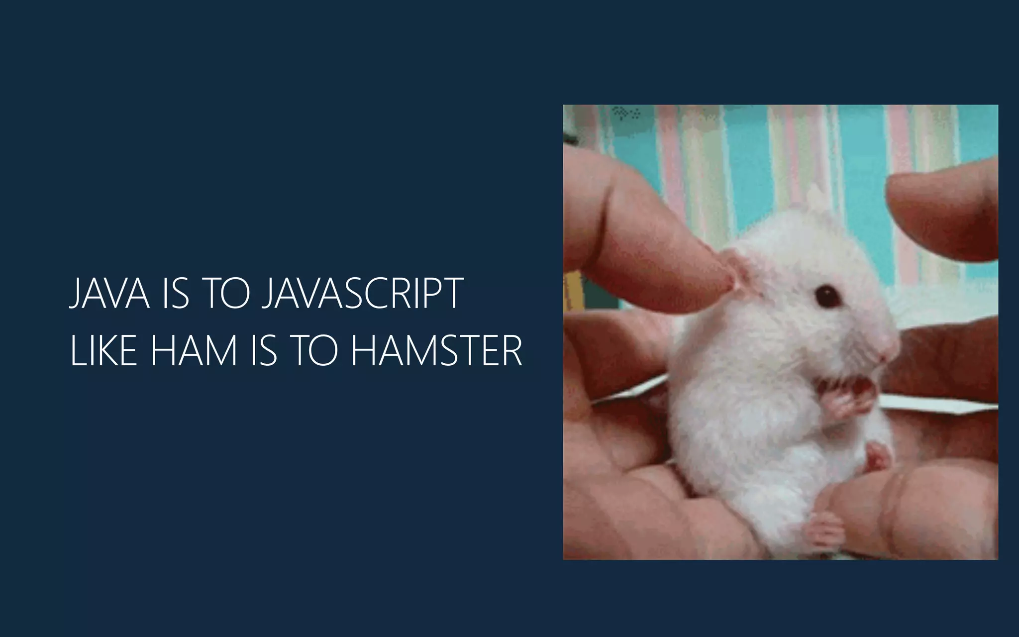 JAVA IS TO JAVASCRIPT
LIKE HAM IS TO HAMSTER
 