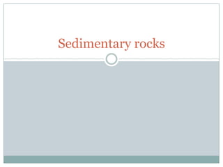 Sedimentary rocks 